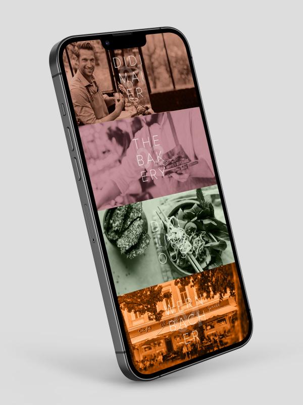 Didi Maier Multisite Mobile