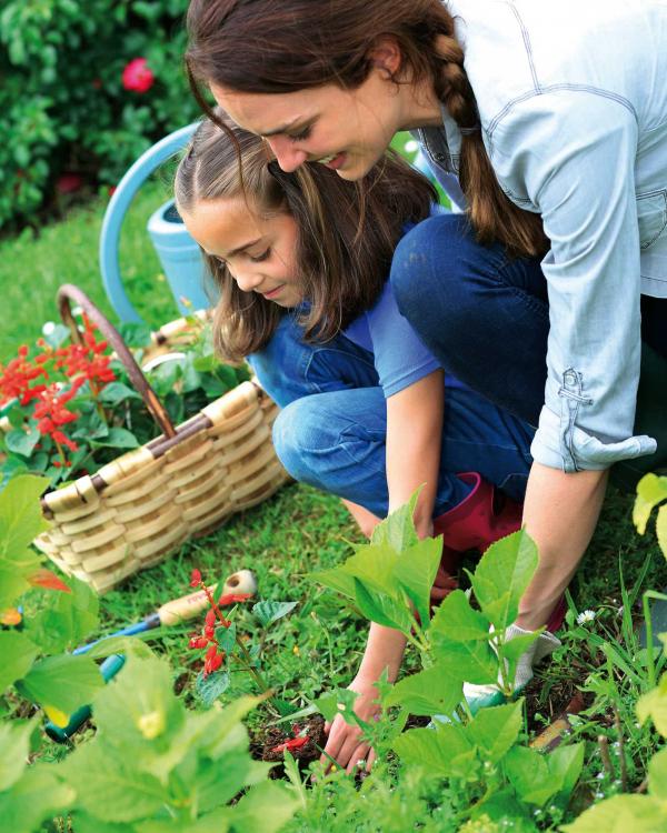 Mutter und Tochter Pflanzen eine Pflanze im Garten