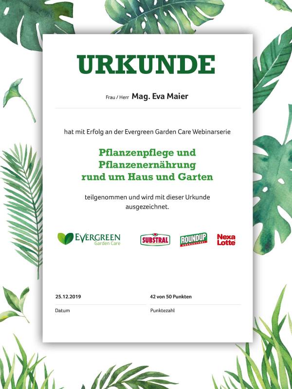 Evergreen Academy Zertifikat